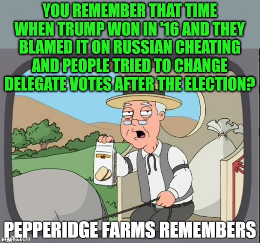 PEPPERIDGE FARMS REMEMBERS | YOU REMEMBER THAT TIME WHEN TRUMP WON IN '16 AND THEY BLAMED IT ON RUSSIAN CHEATING AND PEOPLE TRIED TO CHANGE DELEGATE VOTES AFTER THE ELEC | image tagged in pepperidge farms remembers | made w/ Imgflip meme maker