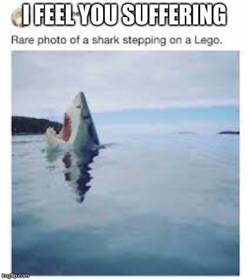 I FEEL YOU SUFFERING | made w/ Imgflip meme maker