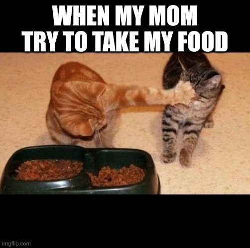 cats share food | WHEN MY MOM TRY TO TAKE MY FOOD | image tagged in cats share food | made w/ Imgflip meme maker