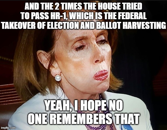 Nancy Pelosi PB Sandwich | AND THE 2 TIMES THE HOUSE TRIED TO PASS HR-1, WHICH IS THE FEDERAL TAKEOVER OF ELECTION AND BALLOT HARVESTING YEAH, I HOPE NO ONE REMEMBERS  | image tagged in nancy pelosi pb sandwich | made w/ Imgflip meme maker