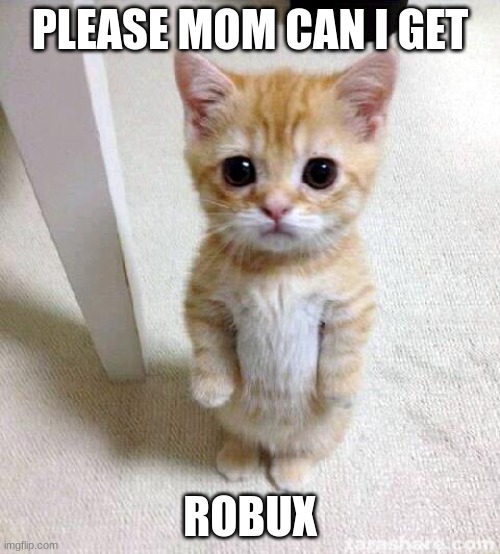 Cute Cat | PLEASE MOM CAN I GET; ROBUX | image tagged in memes,cute cat | made w/ Imgflip meme maker