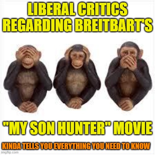 These people just aren't critical thinkers. | LIBERAL CRITICS REGARDING BREITBART'S; "MY SON HUNTER" MOVIE; KINDA TELLS YOU EVERYTHING YOU NEED TO KNOW | image tagged in see no evil hear no evil speak no evil,democrats,liberals,woke,hollywood bias,breitbart | made w/ Imgflip meme maker