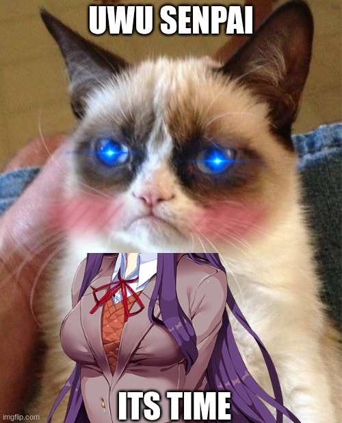 Grumpy cat says uwu senpai | UWU SENPAI; ITS TIME | image tagged in grumpy cat | made w/ Imgflip meme maker