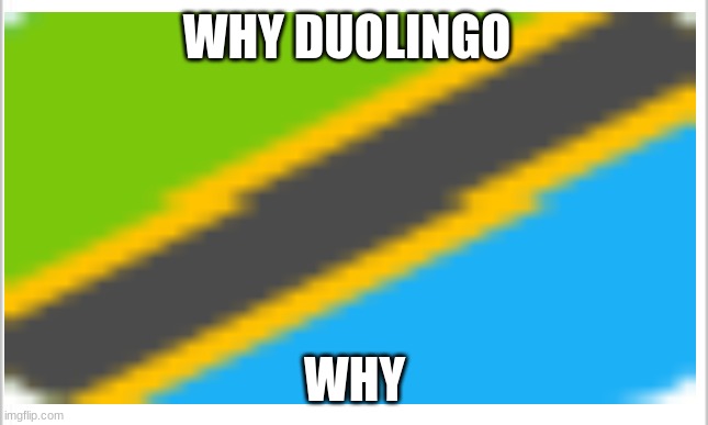 This Swahili flag from Duolingo | WHY DUOLINGO; WHY | made w/ Imgflip meme maker
