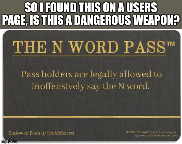 I ain’t rasist, this actually exists | SO I FOUND THIS ON A USERS PAGE, IS THIS A DANGEROUS WEAPON? | image tagged in n word | made w/ Imgflip meme maker