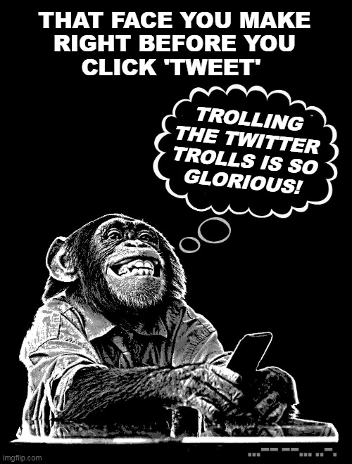 MONKEY BIZ | THAT FACE YOU MAKE
RIGHT BEFORE YOU
CLICK 'TWEET'; TROLLING
THE TWITTER
TROLLS IS SO
GLORIOUS! | image tagged in monkey biz,template,twitter,trolls | made w/ Imgflip meme maker