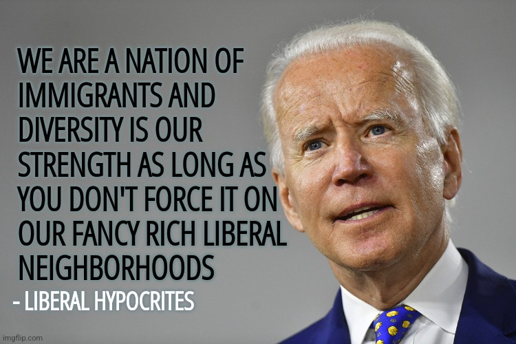NIMBY Biden | WE ARE A NATION OF
IMMIGRANTS AND
DIVERSITY IS OUR 
STRENGTH AS LONG AS
YOU DON'T FORCE IT ON
OUR FANCY RICH LIBERAL
NEIGHBORHOODS; - LIBERAL HYPOCRITES | image tagged in memes,funny,liberals,democrats,illegal immigration,open borders | made w/ Imgflip meme maker