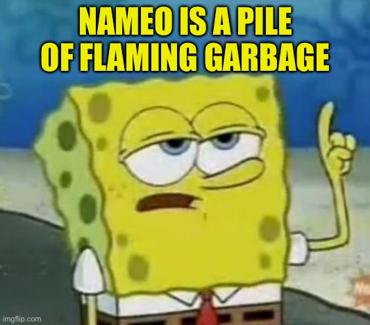 I'll Have You Know Spongebob Meme | NAMEO IS A PILE OF FLAMING GARBAGE | image tagged in memes,i'll have you know spongebob | made w/ Imgflip meme maker