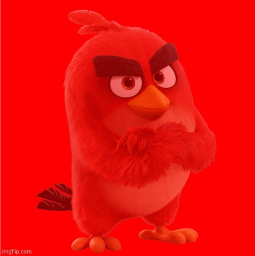 Red becoming canny phase 8 | image tagged in angry birds | made w/ Imgflip meme maker