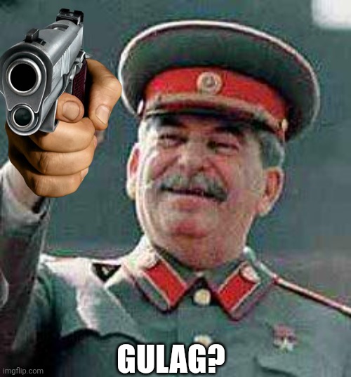 Gulag? Mr comrade? | GULAG? | image tagged in stalin says,stalin | made w/ Imgflip meme maker