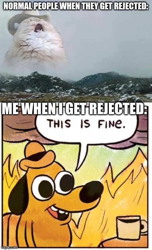 It happens too. many. times. | NORMAL PEOPLE WHEN THEY GET REJECTED:; ME WHEN I GET REJECTED: | image tagged in screaming cowboy cat,memes,this is fine | made w/ Imgflip meme maker