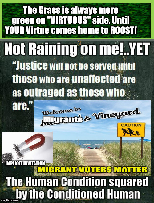 When Virtue comes HOME to Roost! | The Grass is always more green on "VIRTUOUS" side, Until YOUR Virtue comes home to ROOST! | image tagged in virtue signaling,democrats,false analogy,lie cheat steal,evil | made w/ Imgflip meme maker