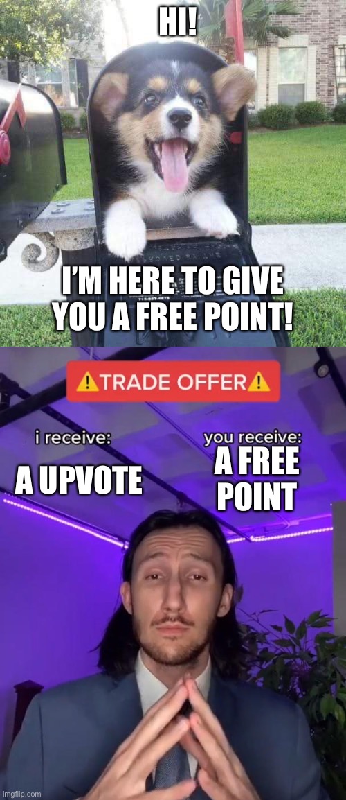 Upvote for a free point and so others get one too! | HI! I’M HERE TO GIVE YOU A FREE POINT! A UPVOTE; A FREE POINT | image tagged in cute doggo in mailbox,trade offer | made w/ Imgflip meme maker