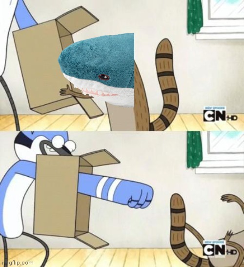 Mordecai Punches Rigby Through a Box | image tagged in mordecai punches rigby through a box | made w/ Imgflip meme maker