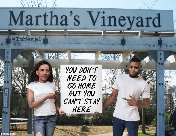 image tagged in obama,michael,martha's vineyard,illegals,liberal hypocrisy | made w/ Imgflip meme maker