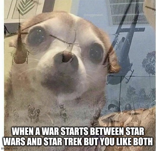 e | WHEN A WAR STARTS BETWEEN STAR WARS AND STAR TREK BUT YOU LIKE BOTH | image tagged in ptsd chihuahua,star wars,star trek | made w/ Imgflip meme maker