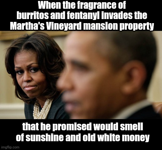 Michelle reacts to illegal migrants relocated to Martha's Vineyard | When the fragrance of burritos and fentanyl invades the Martha's Vineyard mansion property; that he promised would smell of sunshine and old white money | image tagged in disgruntled michelle obama,illegal immigration,migrant relocation,marthas vineyard,liberal hypocrisy,barack obama | made w/ Imgflip meme maker