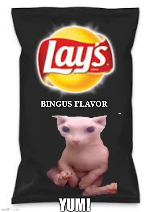 Lays Do Us A Flavor Blank Black | BINGUS FLAVOR; YUM! | image tagged in lays do us a flavor blank black | made w/ Imgflip meme maker