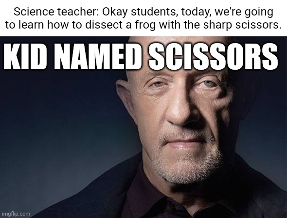Scissors |  Science teacher: Okay students, today, we're going to learn how to dissect a frog with the sharp scissors. KID NAMED SCISSORS | image tagged in kid named,scissors,funny,memes,blank white template,teacher | made w/ Imgflip meme maker