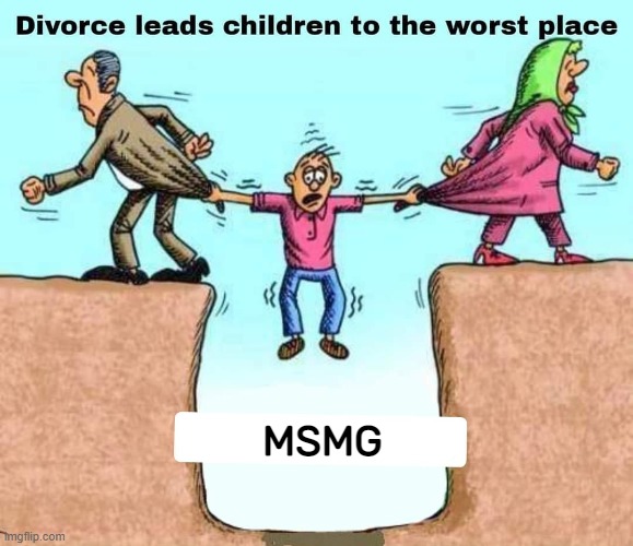MSMG | made w/ Imgflip meme maker