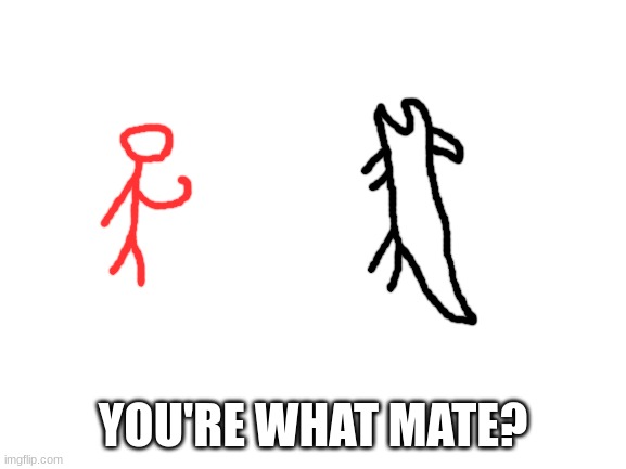 Blank White Template | YOU'RE WHAT MATE? | image tagged in blank white template | made w/ Imgflip meme maker