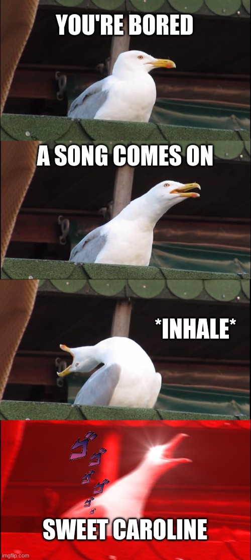 SWEET CAROLINE | YOU'RE BORED; A SONG COMES ON; *INHALE*; SWEET CAROLINE | image tagged in memes,inhaling seagull,song,song lyrics,sweet | made w/ Imgflip meme maker