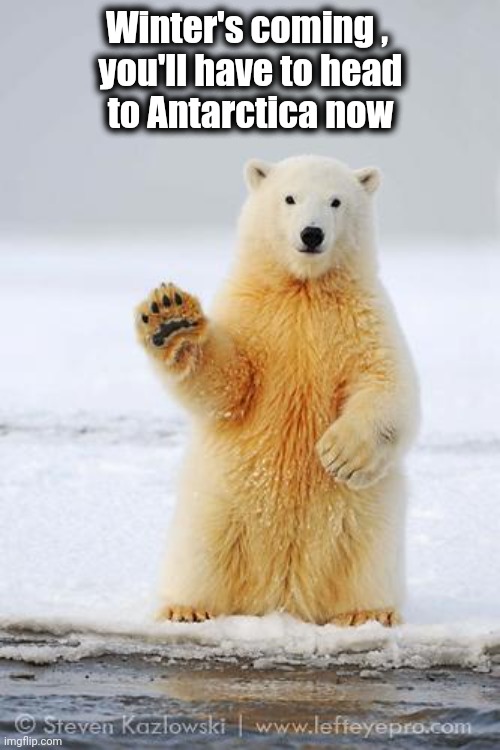 hello polar bear | Winter's coming , 
you'll have to head
 to Antarctica now | image tagged in hello polar bear | made w/ Imgflip meme maker