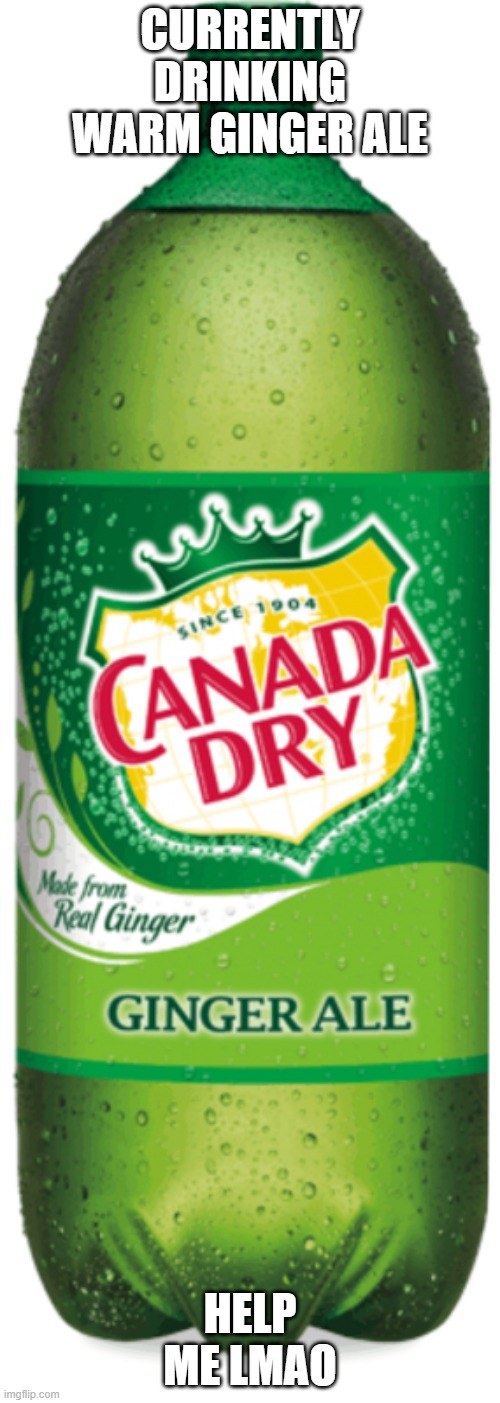 i couldnt wait long enough to make it cooler lol (it was in a cabinet) | CURRENTLY DRINKING WARM GINGER ALE; HELP ME LMAO | image tagged in canada dry | made w/ Imgflip meme maker