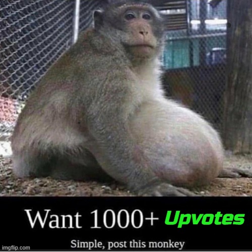 Upvotes | made w/ Imgflip meme maker