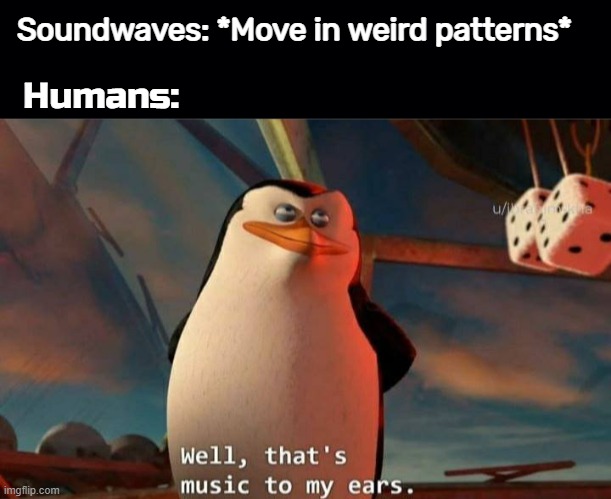 I'm here all week! |  Soundwaves: *Move in weird patterns*; Humans: | image tagged in black background,memes,ba dum tiss | made w/ Imgflip meme maker