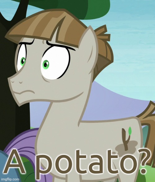 Shocked Mudbriar (MLP) | A potato? | image tagged in shocked mudbriar mlp | made w/ Imgflip meme maker