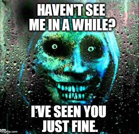 HAVEN'T SEE ME IN A WHILE? I'VE SEEN YOU JUST FINE. | image tagged in unwanted house guest,memes | made w/ Imgflip meme maker