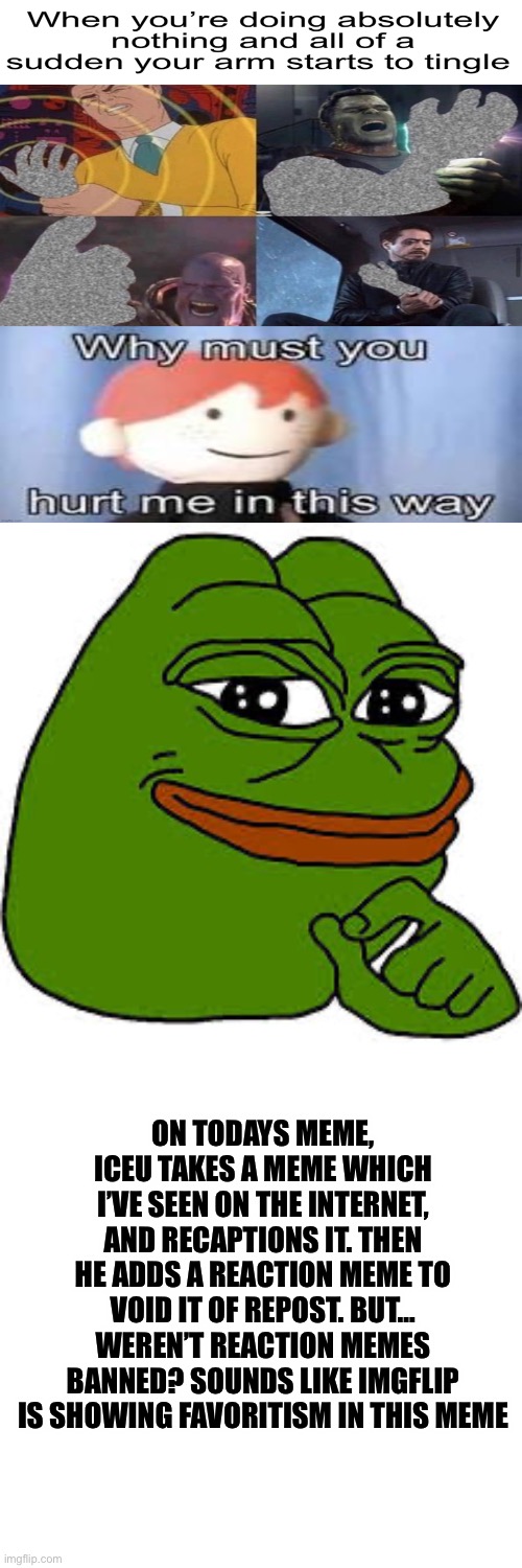 Pepe the Frog | ON TODAYS MEME, ICEU TAKES A MEME WHICH I’VE SEEN ON THE INTERNET, AND RECAPTIONS IT. THEN HE ADDS A REACTION MEME TO VOID IT OF REPOST. BUT… WEREN’T REACTION MEMES BANNED? SOUNDS LIKE IMGFLIP IS SHOWING FAVORITISM IN THIS MEME | image tagged in pepe the frog | made w/ Imgflip meme maker