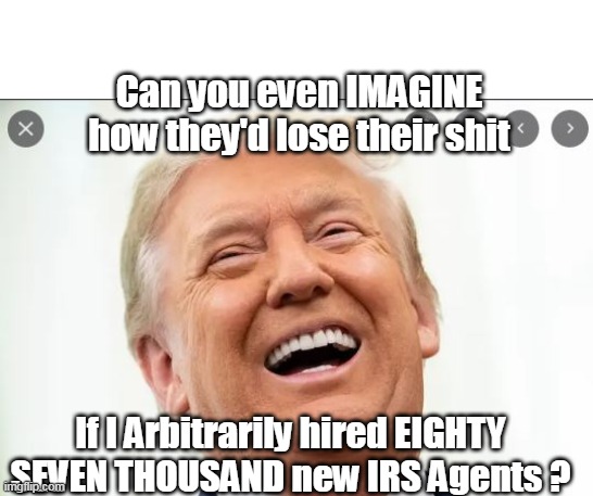 Hitler, Stalin, Mussolini, Gaddafi wouldn't be EVIL ENOUGH comparisons | Can you even IMAGINE how they'd lose their shit; If I Arbitrarily hired EIGHTY SEVEN THOUSAND new IRS Agents ? | image tagged in commandant brandon | made w/ Imgflip meme maker