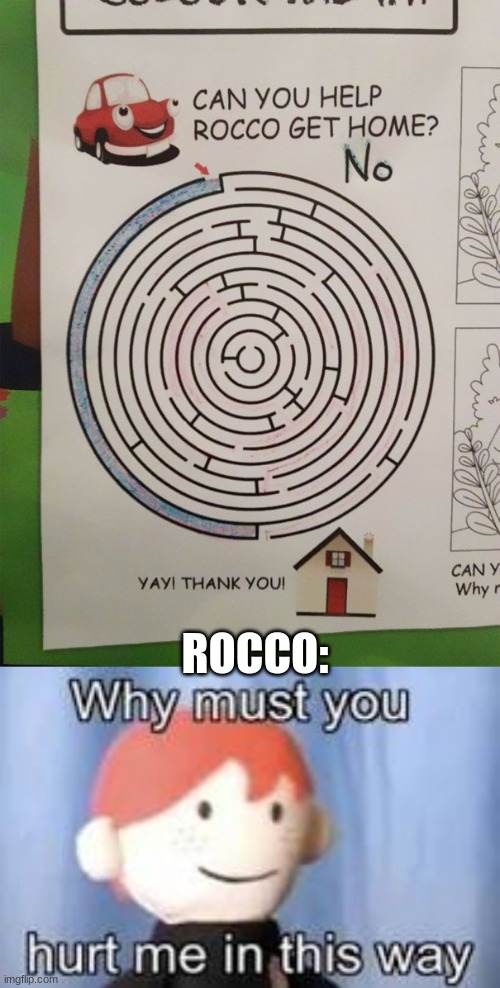 Poor Rocco | ROCCO: | image tagged in why must you hurt me in this way,lol so funny,funny,lol,you had one job,you had one job just the one | made w/ Imgflip meme maker