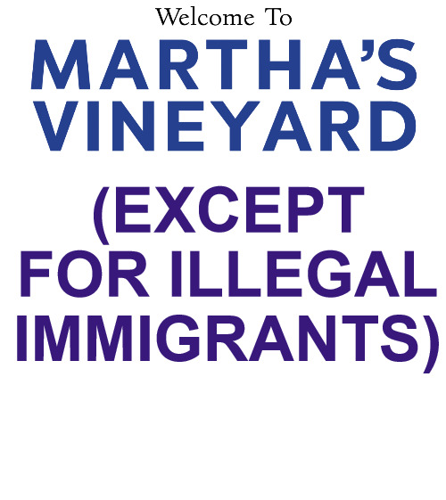 Marthas Vineyard |  (EXCEPT FOR ILLEGAL IMMIGRANTS) | image tagged in blank white template | made w/ Imgflip meme maker