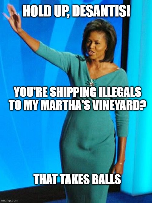 O the hypocrisy is strong with this one. | HOLD UP, DESANTIS! YOU'RE SHIPPING ILLEGALS TO MY MARTHA'S VINEYARD? THAT TAKES BALLS | image tagged in michelle obama,democrats,liberals,woke,transgender,hypocrites | made w/ Imgflip meme maker