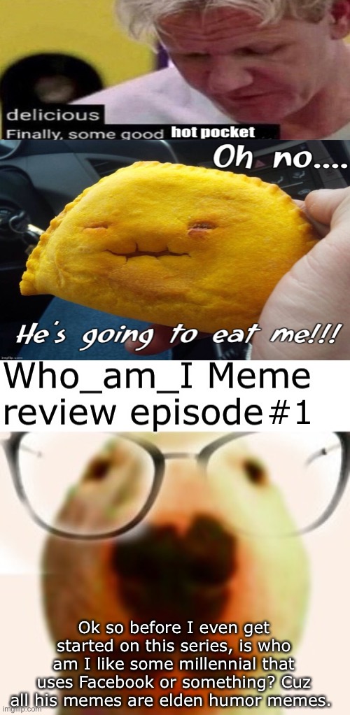 Will you qualify for meme review? | #1; Ok so before I even get started on this series, is who am I like some millennial that uses Facebook or something? Cuz all his memes are elden humor memes. | image tagged in a | made w/ Imgflip meme maker