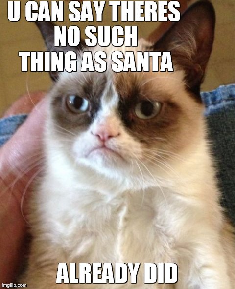 Grumpy Cat Meme | U CAN SAY THERES NO SUCH THING AS SANTA ALREADY DID | image tagged in memes,grumpy cat | made w/ Imgflip meme maker