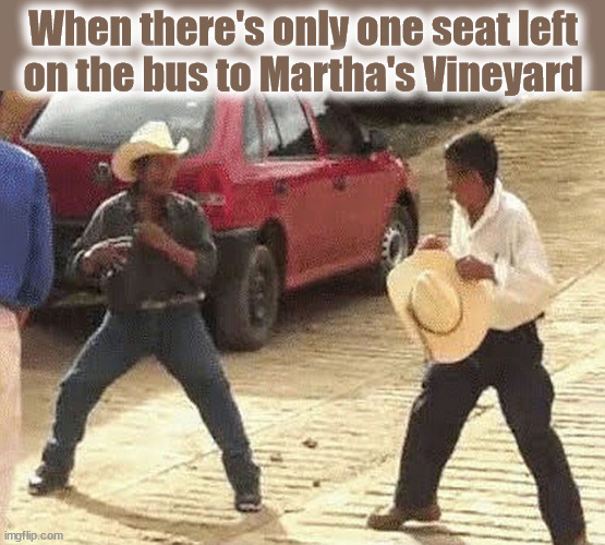 Vineyard Bus | When there's only one seat left
on the bus to Martha's Vineyard | image tagged in martha's vineyard,migrants,bus,immigrants | made w/ Imgflip meme maker