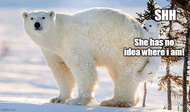 SHH; She has no idea where i am! | image tagged in meme,memes,humor,animals | made w/ Imgflip meme maker