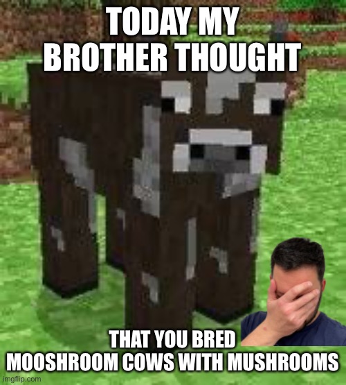 Fr | TODAY MY BROTHER THOUGHT; THAT YOU BRED MOOSHROOM COWS WITH MUSHROOMS | image tagged in minecraft cow | made w/ Imgflip meme maker