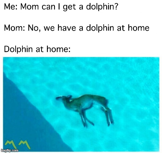 F | made w/ Imgflip meme maker