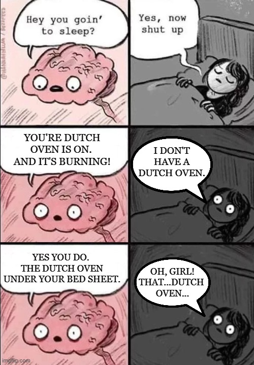 Going Dutch | I DON'T HAVE A DUTCH OVEN. YOU'RE DUTCH OVEN IS ON.  AND IT'S BURNING! YES YOU DO.  THE DUTCH OVEN UNDER YOUR BED SHEET. OH, GIRL!
THAT...DUTCH 
OVEN... | image tagged in waking up brain,memes,dutch oven,farting,double meaning,funny | made w/ Imgflip meme maker