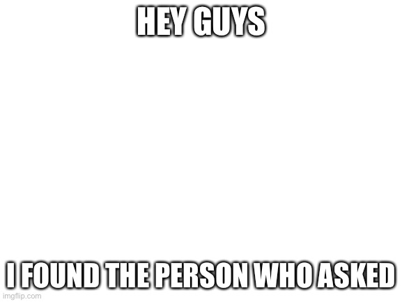 Do YOU get it? | HEY GUYS; I FOUND THE PERSON WHO ASKED | image tagged in blank white template,i found the person who asked,who asked | made w/ Imgflip meme maker