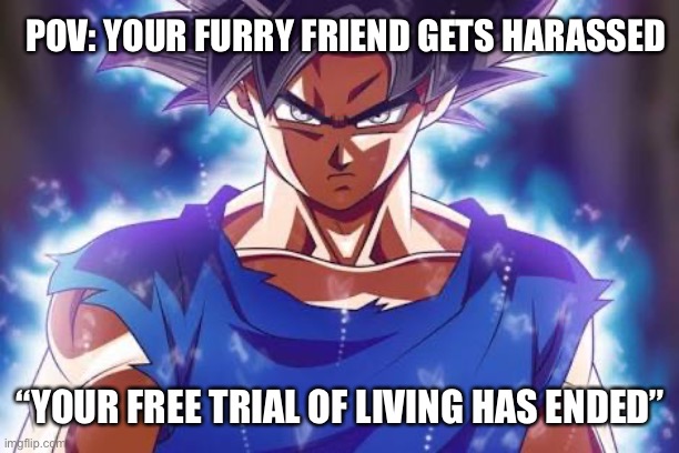 this is so me, but its a last resort | POV: YOUR FURRY FRIEND GETS HARASSED; “YOUR FREE TRIAL OF LIVING HAS ENDED” | image tagged in goku ultra instinct | made w/ Imgflip meme maker