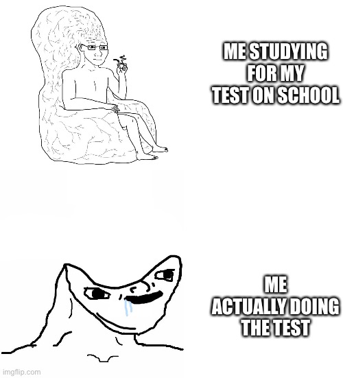 ME STUDYING FOR MY TEST ON SCHOOL; ME ACTUALLY DOING THE TEST | image tagged in big brain wojak,memes,school,exams,school meme,exam | made w/ Imgflip meme maker