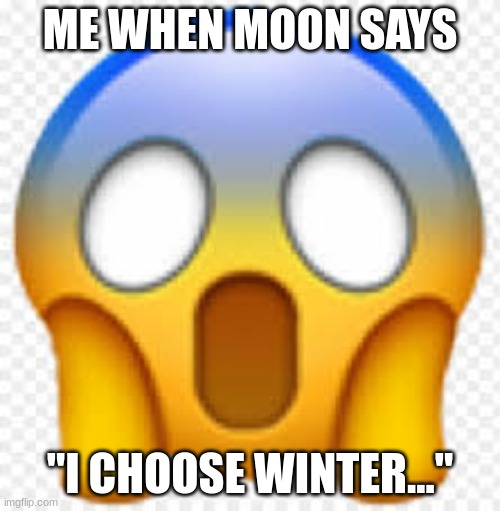 ME WHEN MOON SAYS; "I CHOOSE WINTER..." | image tagged in wings of fire,wof | made w/ Imgflip meme maker