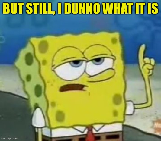 I'll Have You Know Spongebob Meme | BUT STILL, I DUNNO WHAT IT IS | image tagged in memes,i'll have you know spongebob | made w/ Imgflip meme maker