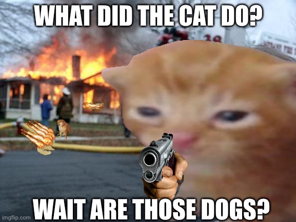 Kitty |  WHAT DID THE CAT DO? WAIT ARE THOSE DOGS? | image tagged in memes,fire | made w/ Imgflip meme maker